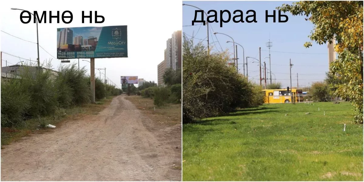 Барс захын арын цэцэрлэгт хүрээлэнг тохижуулжээ