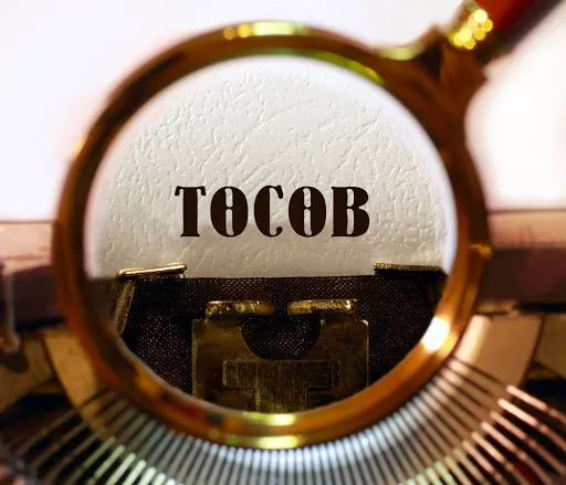 АУДИТЫН ДҮГНЭЛТ: Монгол Улсын 2022 оны төсвийн төсөл