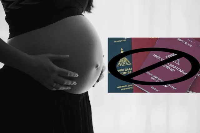 ТЭГШ ЭРХ: Жирэмсний амралттай байсан эмэгтэйд ажилгүйдлийн тэтгэмж олгодоггүй