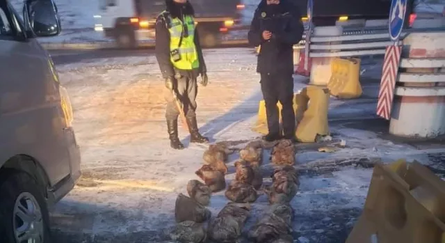39 ширхэг нойтон тарвага тээвэрлэж явсныг илрүүлжээ