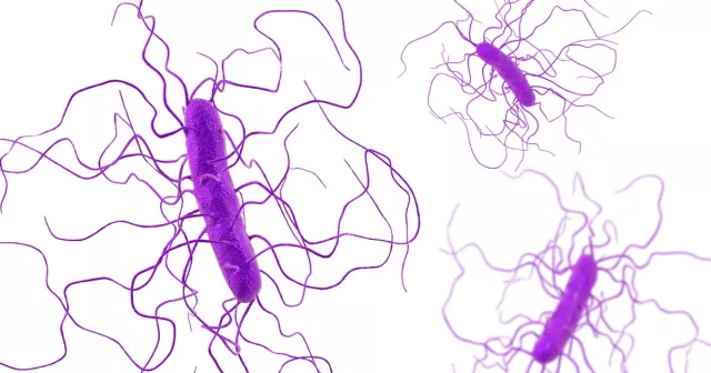 ЭМЧ: Бүдүүн гэдэсний халдвар үүсгэгч нян-Clostridium difficile халдвар