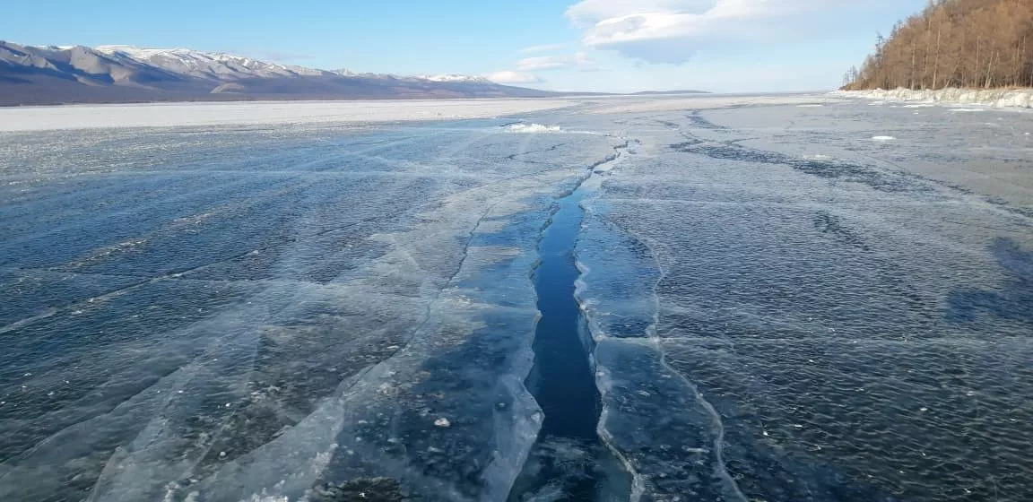 Хөвсгөл нуурт олон тооны цууралт үүсэж, хар хил гарчээ