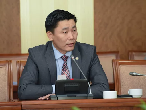 Ё.Баатарбилэг: Элчин сайд нарыг ямар ажил хийдгийг мэдэхгүй юм байна