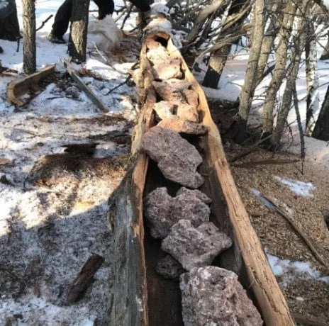 Ан, амьтдад зориулж өвс, тэжээл байршуулжээ