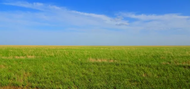 100 гаруй мянган га бэлчээрийн ургамлыг хамгааллаа