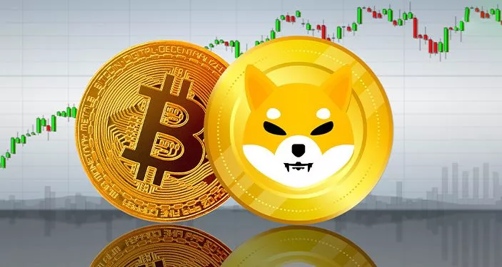 Биткойн 44,000 доллараас давж, Шиба Ину токены өсөлтийг тэргүүллээ