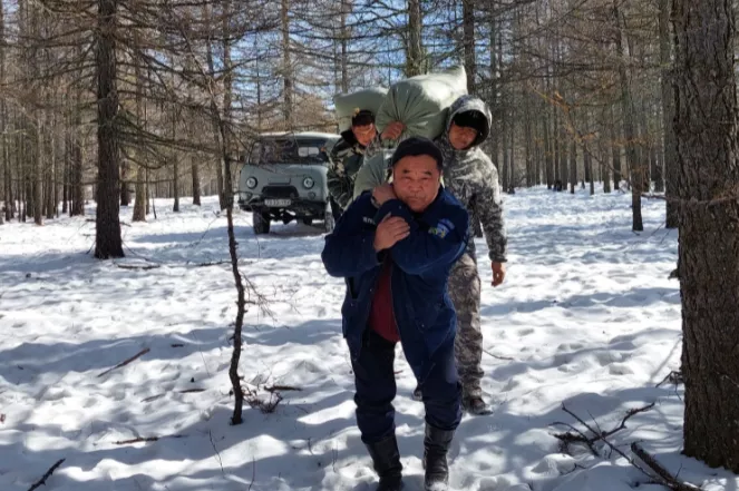 Туруутан амьтдад биотехникийн арга хэмжээг авч хэрэгжүүлж байна