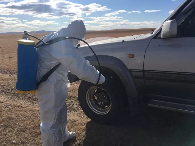 12 аймагт шүлхий өвчнөөс сэргийлэхээр хязгаарлалтын дэглэм тогтоогоожээ