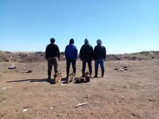 ЦЕГ: Мал хулгайлах гэмт хэрэг үйлддэг бүлэг этгээдүүдийг илрүүллээ