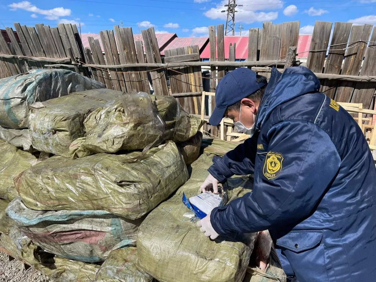 Барилгын материал дунд мал, амьтны гаралтай бүтээгдэхүүн нууж оруулжээ