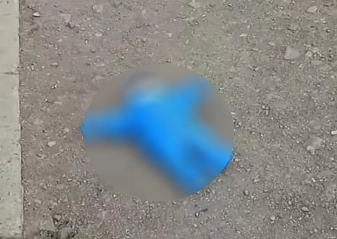ГБХЗХГ: Эрсдэл өндөр байсан учир дөрвөн сартай нярайг хамгаалалтад авсан