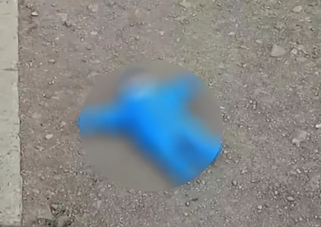 ГБХЗХГ: Эрсдэл өндөр байсан учир дөрвөн сартай нярайг хамгаалалтад авсан