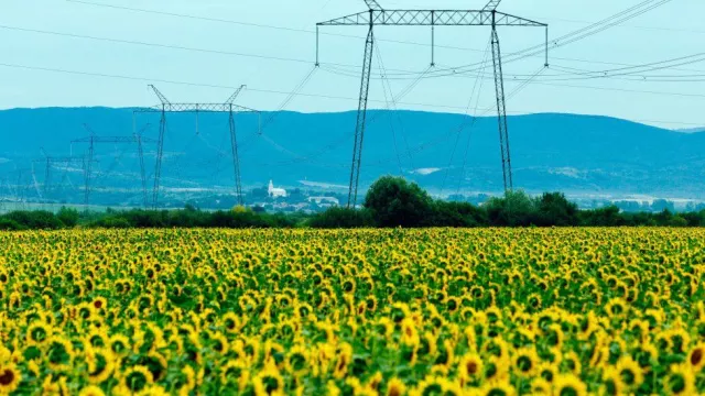 Дэлхийн банк: 2024 он хүртэл байгалийн хий, нефтийн үнэ буухгүй
