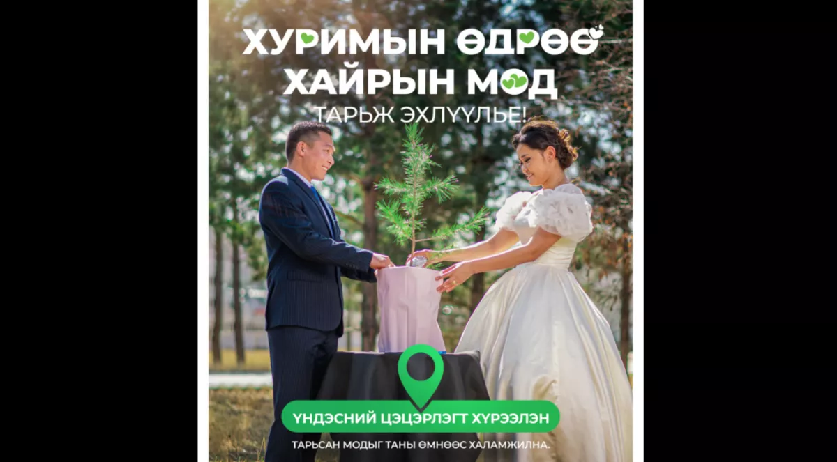 Гэрлэж буй хосууд цэцэрлэгт хүрээлэнд мод тарих боломжтой боллоо