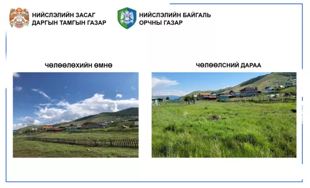 Зуслангуудын ой мод руу орох, гарах гарцыг чөлөөлжээ