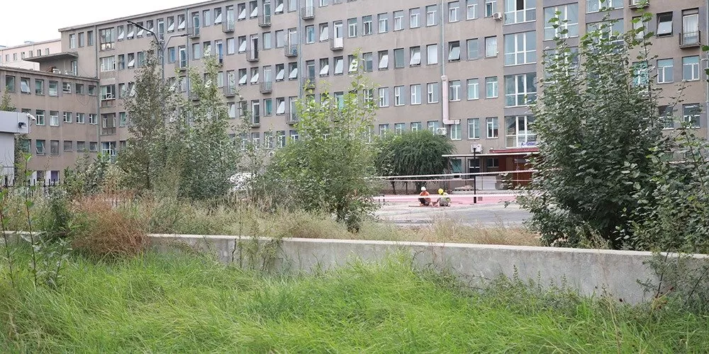 Нэгдүгээр эмнэлгийн цонхоор хүн унаж амиа алджээ