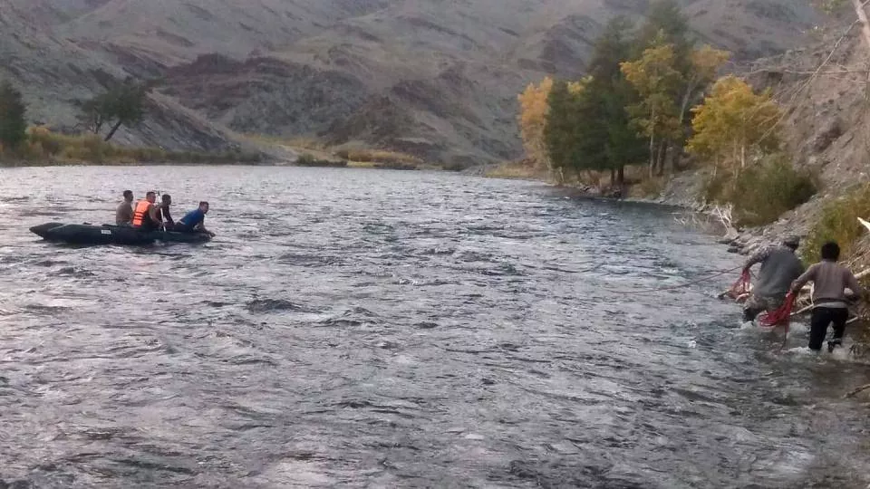 Адуугаа хураахаар явсан 14 настай хүү живж амиа алджээ