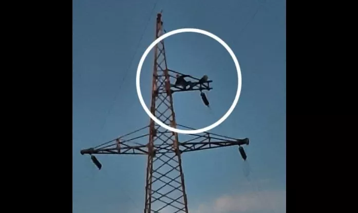 Өндөр хүчдэлд авирч гарсан иргэнтэй 3 цаг ярилцан буулгажээ