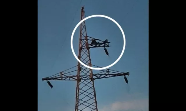 Өндөр хүчдэлд авирч гарсан иргэнтэй 3 цаг ярилцан буулгажээ