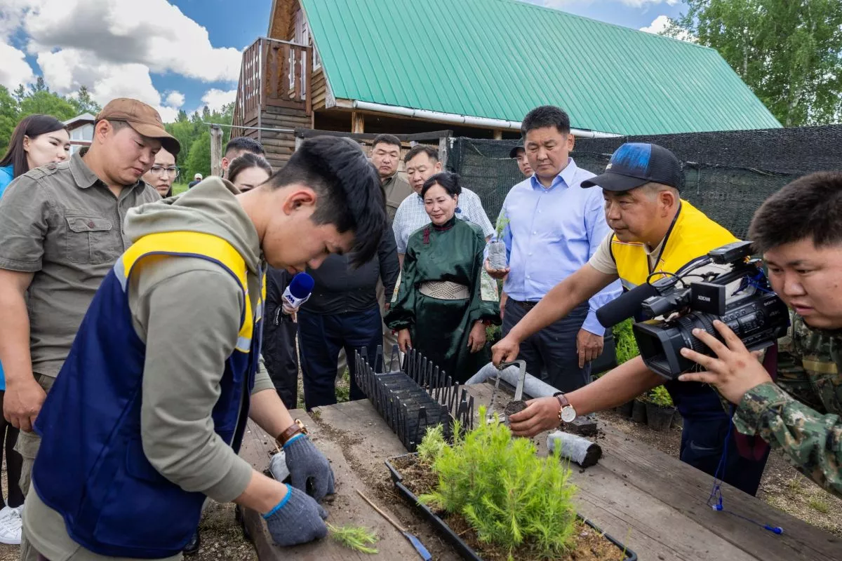 Улаан номд орсон модыг бортогонд амжилттай үржүүлжээ