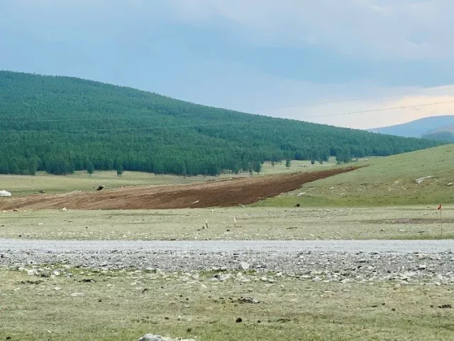 Авто замын зориулалтаар дайрга шороо олборлосон талбайг нөхөн сэргээжээ