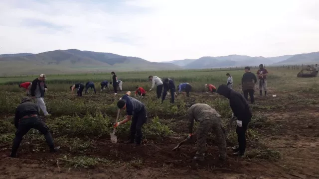 Ургац хураалтад иргэдийг сайн дураар оролцуулна